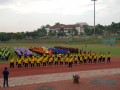 Tn DSC 7454